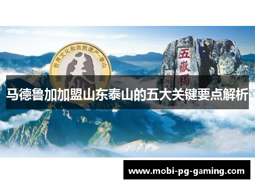 马德鲁加加盟山东泰山的五大关键要点解析