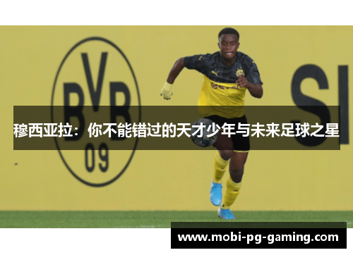 穆西亚拉：你不能错过的天才少年与未来足球之星